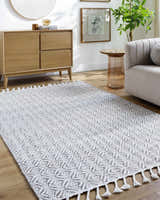 Living room scene with the Anelia Medium Gray Area Rug, light wood furniture, and neutral decor. Roomscene-Rectangle