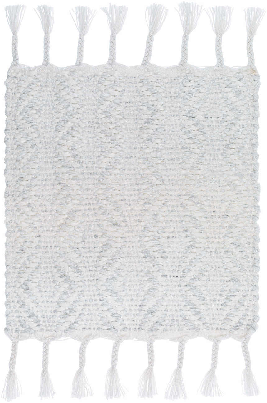 Close-up of the hand woven Anelia Powder Blue Area Rug with ivory and powder blue hues and braided tassels. Swatch