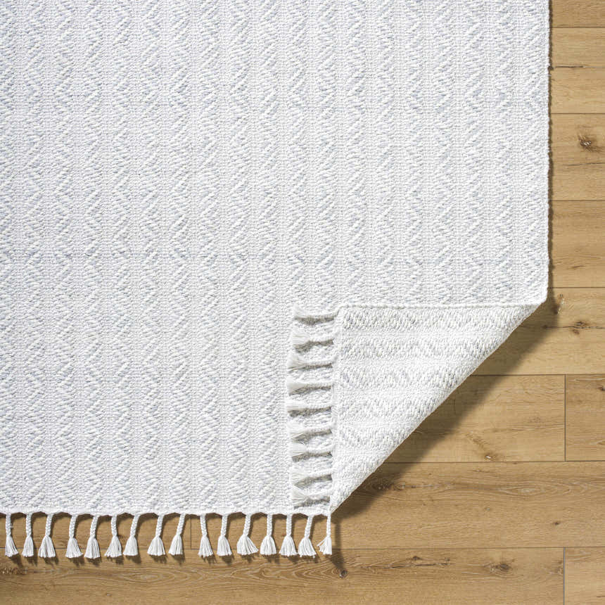 Close-up of the Anelia Powder Blue Area Rug showing its ivory and powder blue woven texture and tassel fringe. Fold