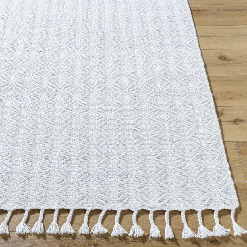 Close-up of the Anelia Powder Blue Area Rug showing its woven texture and ivory tassels on a wood floor. Front