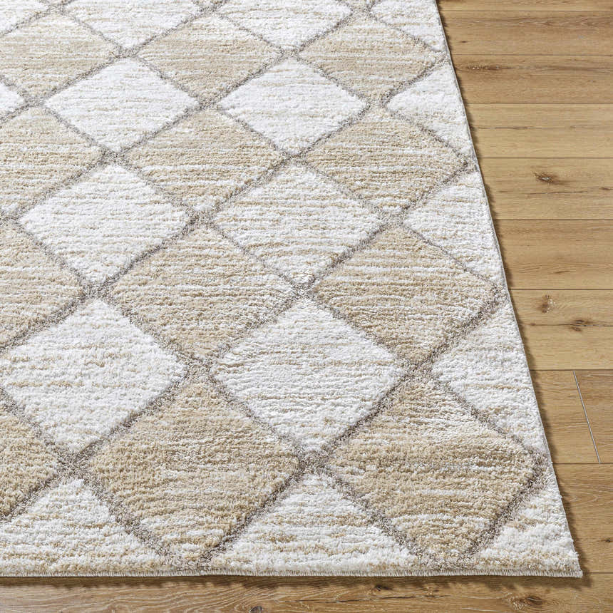 Close-up of the Aideen Cream Shag Area Rug showing its diamond pattern, soft texture, and neutral colors on wood floor. Front