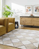 Living room scene with gold armchairs and Aideen Cream Shag Area Rug featuring a diamond pattern. Roomscene-Rectangle
