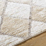 Close-up of the Aideen Cream Shag Area Rug showing its geometric pattern, soft texture, and ash, cream, and gray colors. Texture