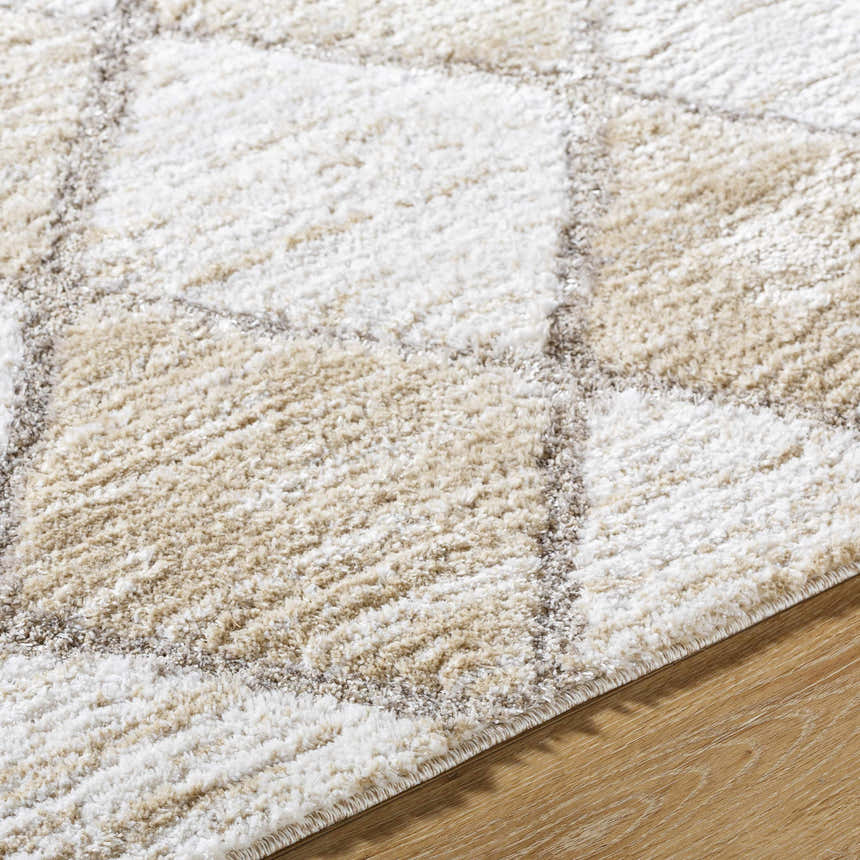 Close-up of the Aideen Cream Shag Area Rug showing its geometric pattern, soft texture, and ash, cream, and gray colors. Texture
