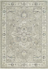Close-up of the Ayzize Beige Area Rug, a traditional rug with beige, charcoal, ivory, and slate blue tones. Design-Rectangle-6796