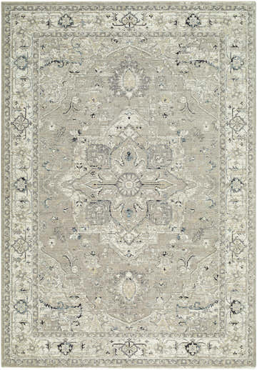 Close-up of the Ayzize Beige Area Rug, a traditional rug with beige, charcoal, ivory, and slate blue tones. Design-Rectangle-6796