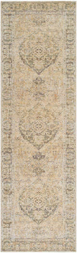 Close-up of the Becki Beige Owens x Livabliss Renaissance Area Rug. Features a traditional, farmhouse design with beige, brown, and tan tones. Design-Runner