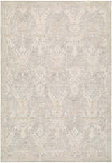 Close-up of Almaas Sage rug. Farmhouse style rug with ivory, gray, sandstone, and taupe traditional pattern. Design-Rectangle-6796