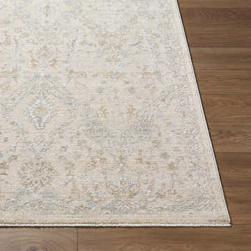 Close-up of the Almaas Cream Thick Luxe Area Rug showing its traditional pattern and soft texture on a wood floor. Front