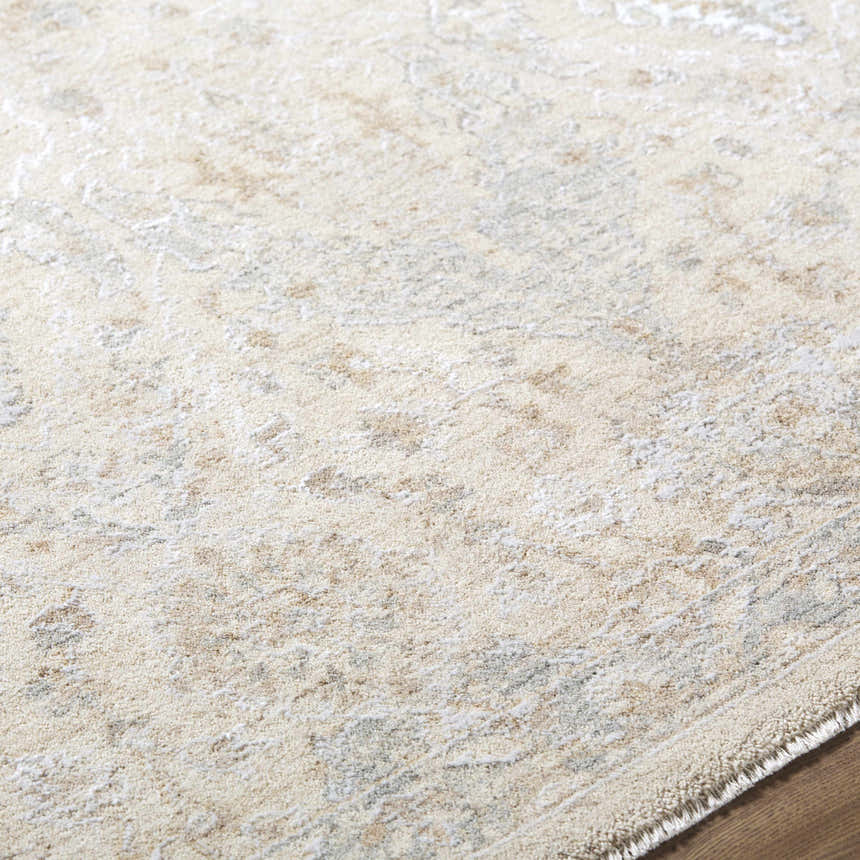Close-up of the Almaas Cream Thick Luxe Area Rug, showing its subtle traditional pattern and plush texture. Texture