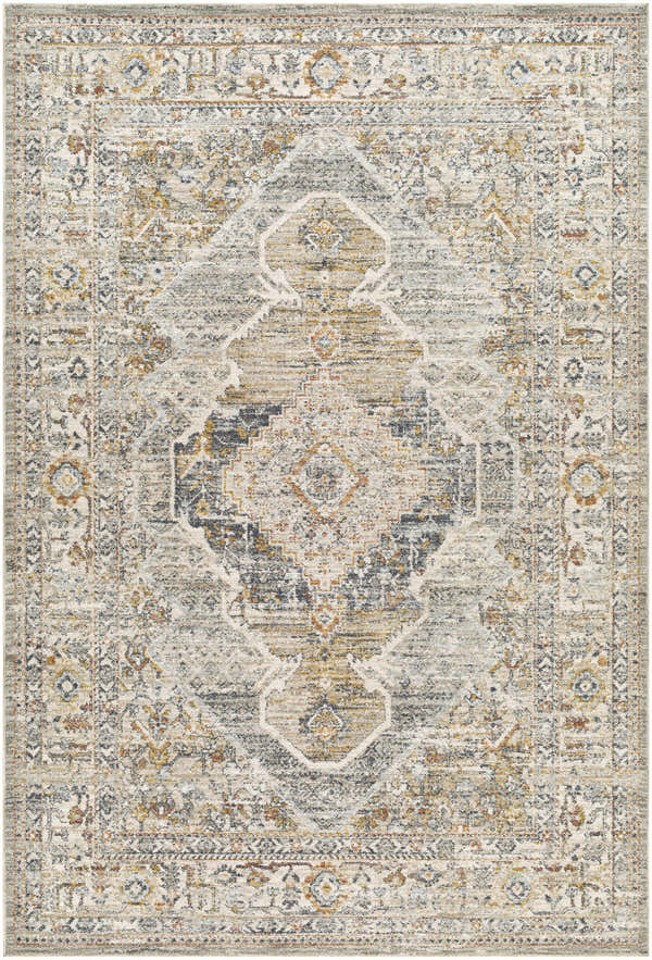 Sample Jyler Traditional Area Rug - Clearance