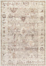 Close-up of the Matat Area Rug. Beige, chestnut, ivory, tan, and taupe traditional rug with a farmhouse style pattern. Design-Rectangle-31157