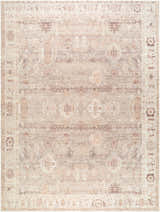 Close-up of the Matat Area Rug. Beige, chestnut, ivory, tan, and taupe traditional pattern. Design-Rectangle-912