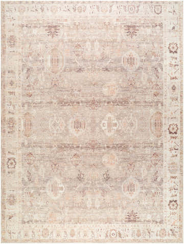 Close-up of the Matat Area Rug. Beige, chestnut, ivory, tan, and taupe traditional pattern. Design-Rectangle-912
