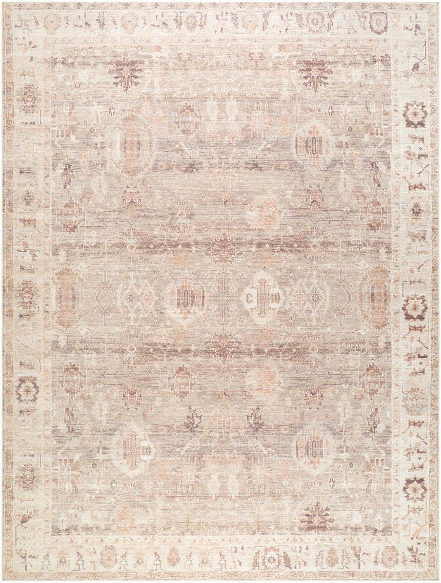Close-up of the Matat Area Rug. Beige, chestnut, ivory, tan, and taupe traditional pattern. Design-Rectangle-912