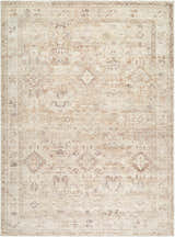 Close-up of the Nakia Area Rug. Beige, ivory, light brown, and tan tones with a traditional, farmhouse-style pattern. Design-Rectangle-58