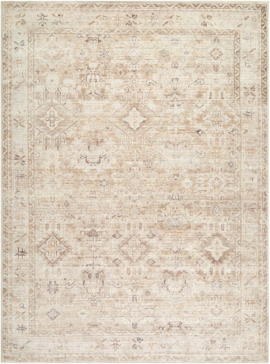 Close-up of the Nakia Area Rug. Beige, ivory, light brown, and tan tones with a traditional, farmhouse-style pattern. Design-Rectangle-58