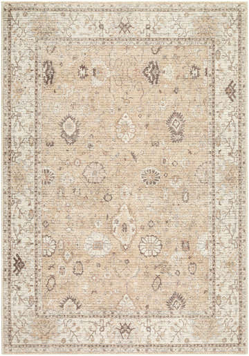 Close-up of the Yvon Area Rug. Beige, charcoal, ivory, and taupe farmhouse style rug with traditional floral pattern. Design-Rectangle-31157
