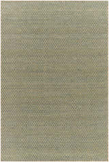 Close-up of the Verdel Sage Cottage Farmhouse Wool Handmade Area Rug showing sage, tan, and teal woven checkerboard pattern. Design-Rectangle-576