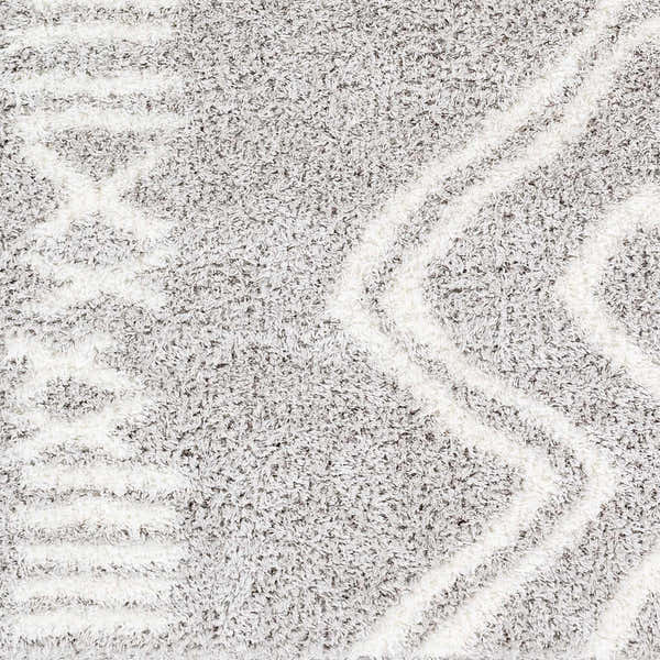 Sample Asael Gray Area Rug - Clearance