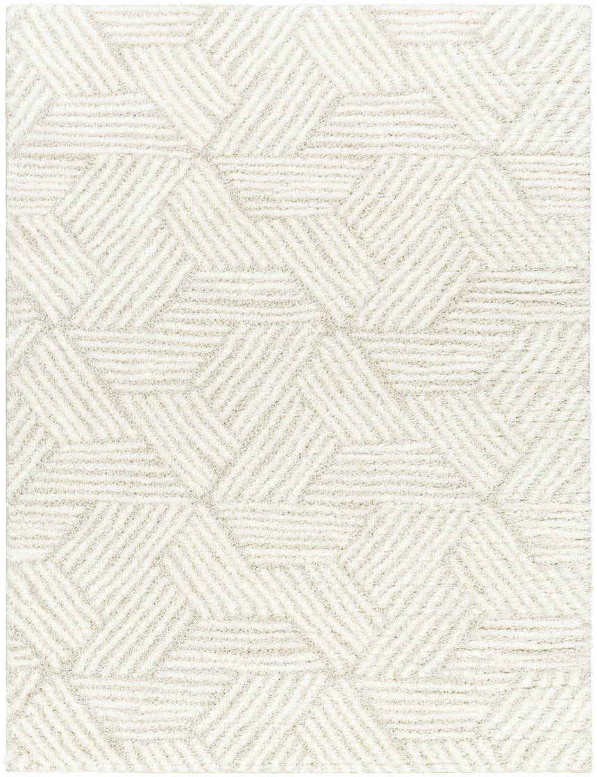 Close up of the Mura Cream Area Rug showing its geometric shag design and soft texture. Design-Rectangle-537