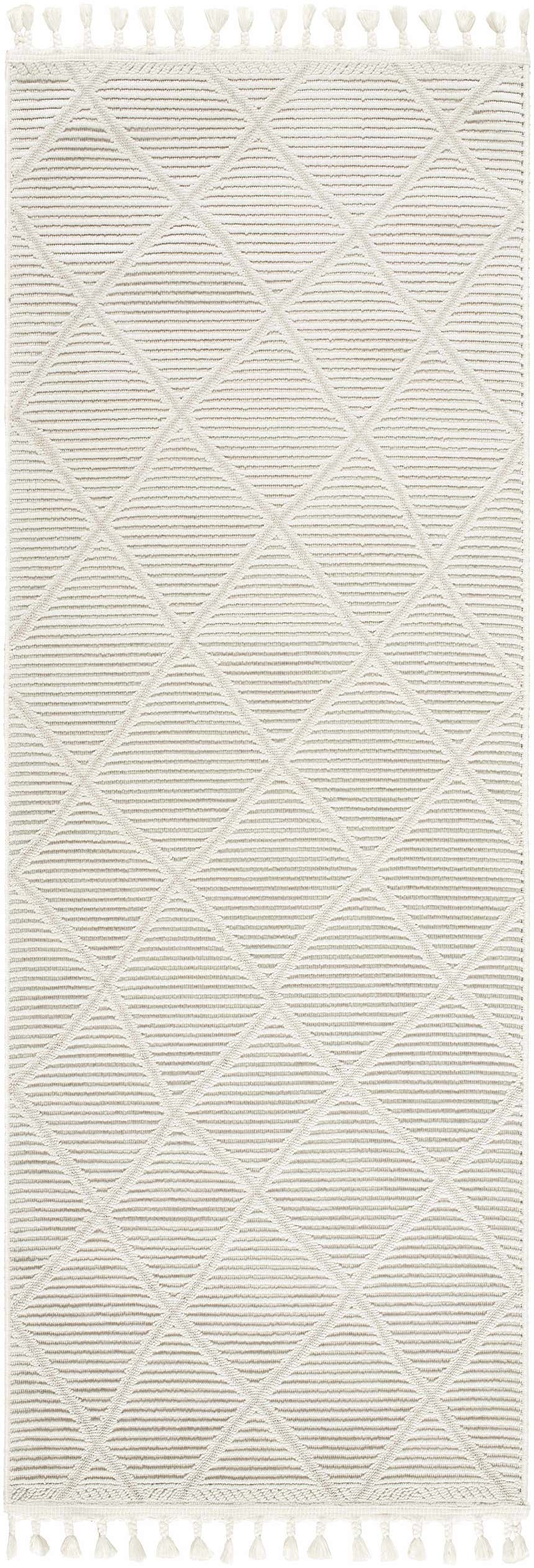Close-up of Lova Area Rug: beige and gray geometric pattern with tassels. Design-Runner-2773
