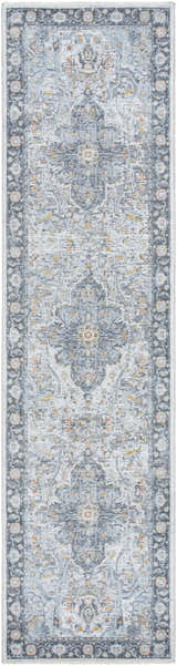 Close-up of the Hovan Area Rug, a gray runner with a traditional, distressed medallion pattern and dark gray border. Design-Runner-2710