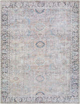 Close-up of the Giona Washable Area Rug with a vintage Persian design in blue, charcoal, pastel red, and light green. Design-Rectangle-537