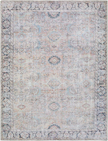 Close-up of the Giona Washable Area Rug with a vintage Persian design in blue, charcoal, pastel red, and light green. Design-Rectangle-537