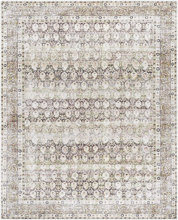 Close-up of the Mabyn Area Rug. Machine-woven polyester rug with a vintage-inspired, distressed design in neutral tones. Design-Rectangle-7696