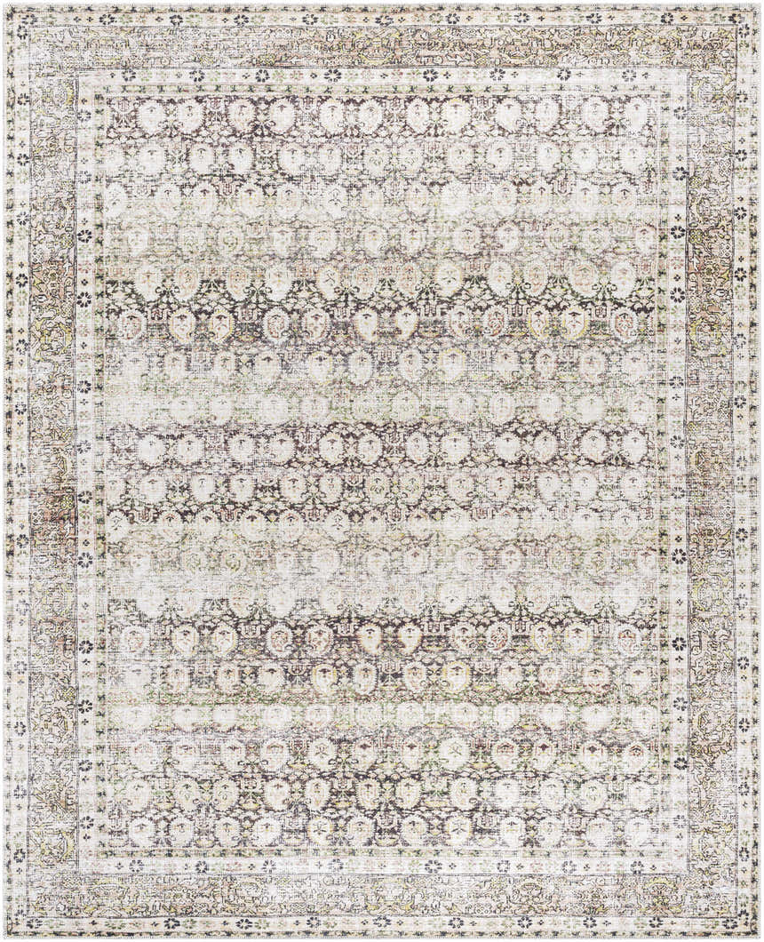 Close-up of the Mabyn Area Rug. Machine-woven polyester rug with a vintage-inspired, distressed design in neutral tones. Design-Rectangle-7696