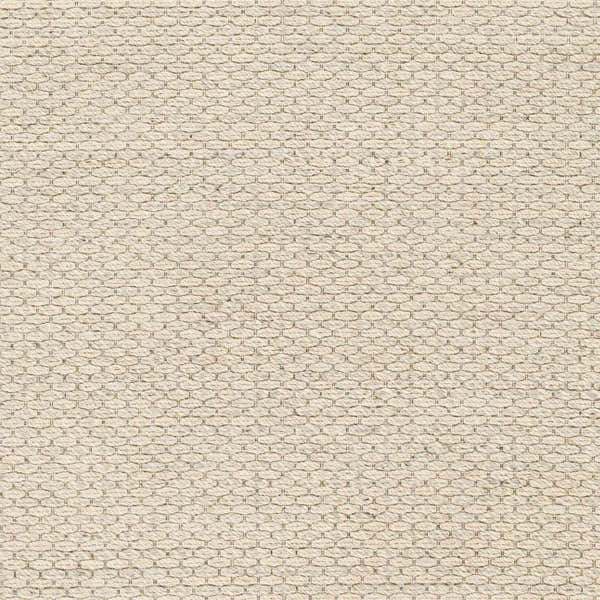 Sample Beige Emlen Area Rug - Clearance