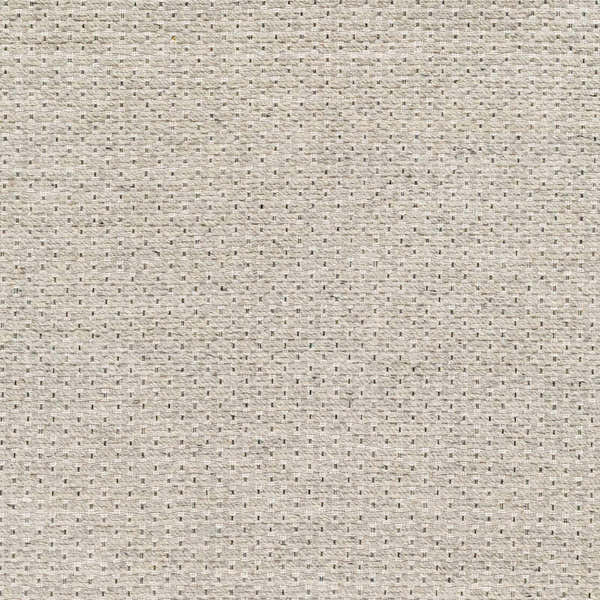 Sample Light Brown Emlen Area Rug - Clearance