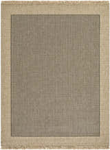 Close-up of the Endre Tan Indoor Outdoor Area Rug. Features a tan border and a herringbone pattern in the center. Design-Rectangle-537