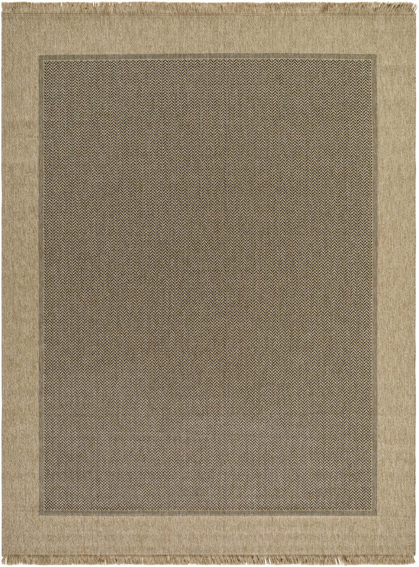 Close-up of the Endre Tan Indoor Outdoor Area Rug. Features a brown herringbone pattern with a tan border and fringe. Design-Rectangle-71010