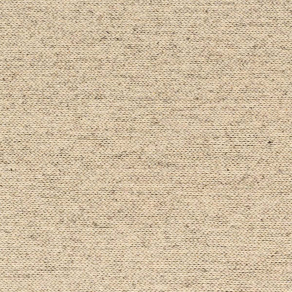 Sample Alyra Beige Solid Area Rug - Clearance