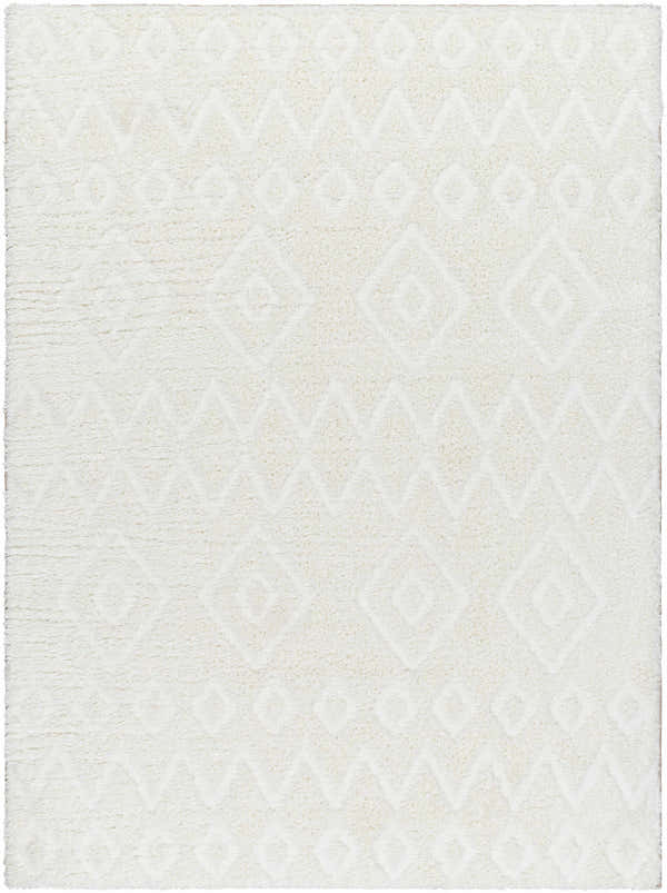Sample Hoshi Area Rug