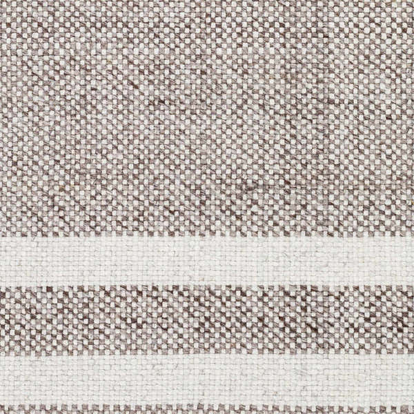 Sample Loic Light Brown Area Rug - Clearance