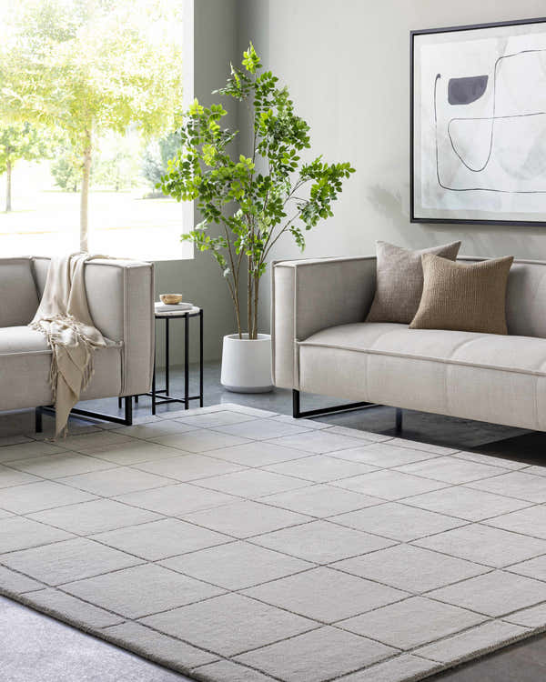 Sample Siarl Gray Checkered Area Rug