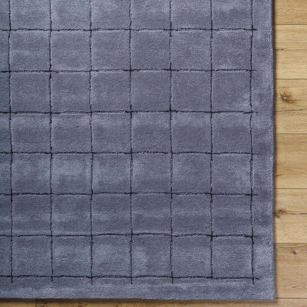 Sample Sanvi Charcoal Area Rug