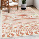 Outdoor patio scene with a Jove Orange rug, wooden chair, and potted snake plant. Roomscene-Rectangle