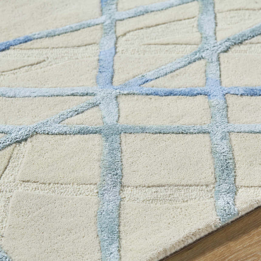 Close-up of Hiba Area Rug, a hand-tufted wool rug in beige with a blue geometric grid pattern. Soft texture. Texture