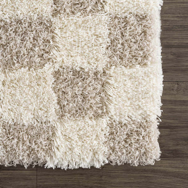 Sample Atira Light Brown Checkered Area Rug