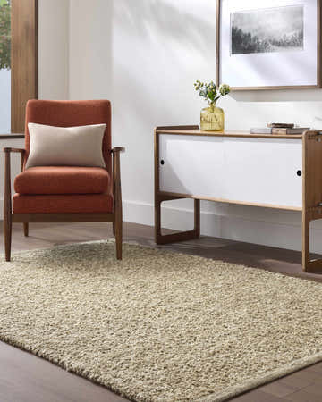 Living room scene with a Teela Beige Area Rug, rust-colored chair, and mid-century modern cabinet. Roomscene-Rectangle