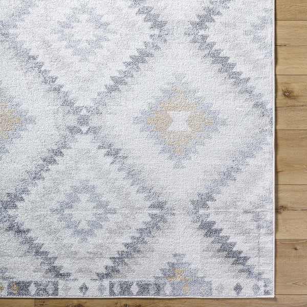 Sample Tyipa Area Rug - Clearance