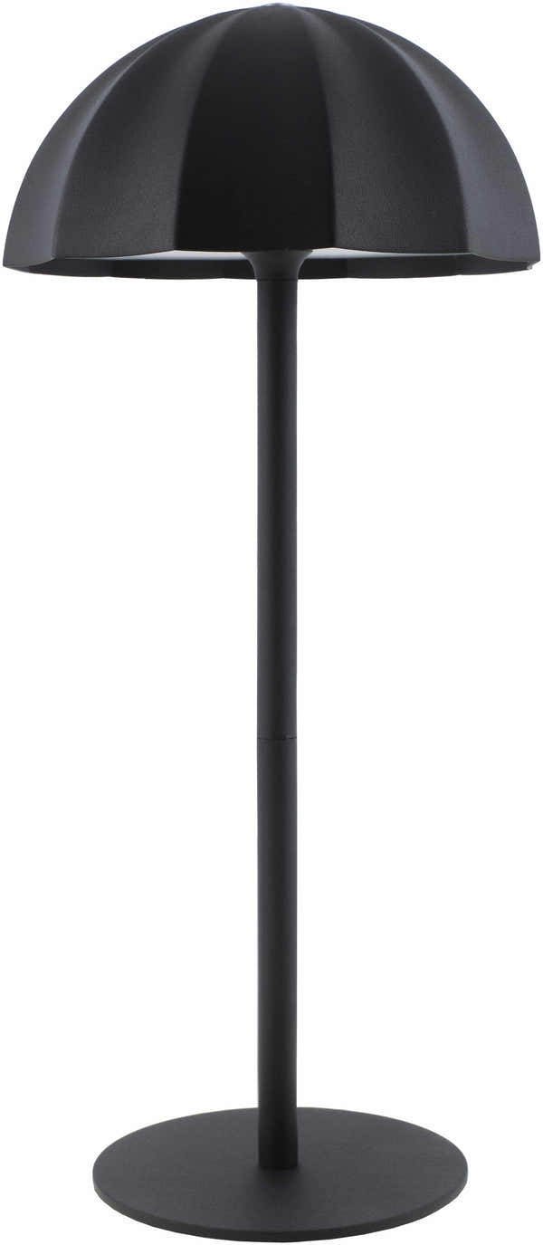 Terriente Black Table Lamp
