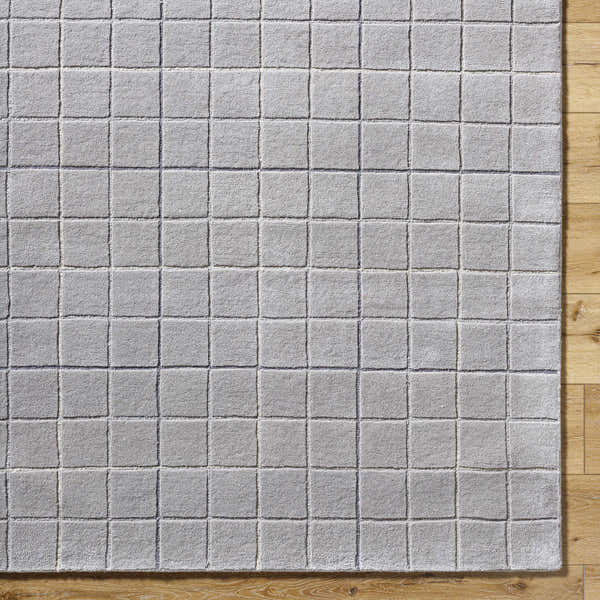 Sample Toshi Sterling Gray Area Rug