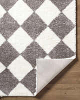 Close-up of the Achaia Dark Gray Area Rug featuring a gray and white diamond pattern and shag texture. Fold