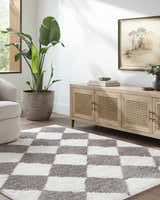 Living room scene with a gray and white checkerboard Achaia Dark Gray Area Rug, light wood cabinet, and potted plant. Roomscene-Rectangle