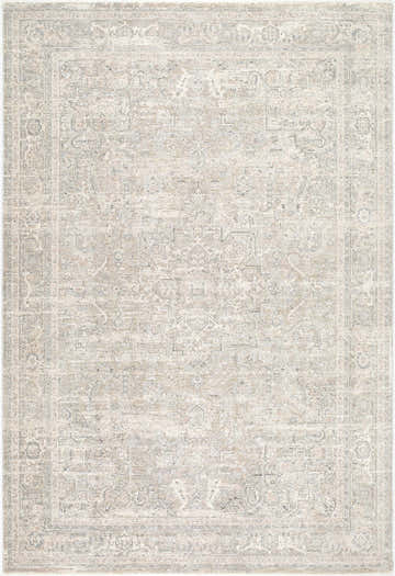 Close-up of the Amando Area Rug. Farmhouse style, machine woven with a traditional, neutral pattern in shades of gray and beige. Design-Rectangle-6796
